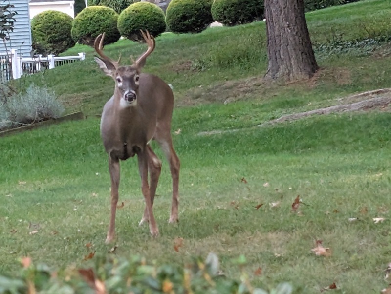 shoutout from Tom Johnston 